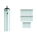 Mehrfachpackung 25x Philips TL - X XL 40W - 640 Kaltweiß | 120cm